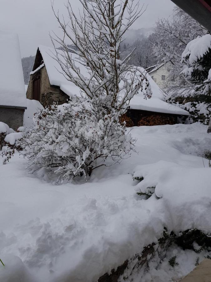 St Lary-Vignec Charmant Studio Au Calme المظهر الخارجي الصورة